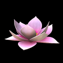 Flower - Lotus